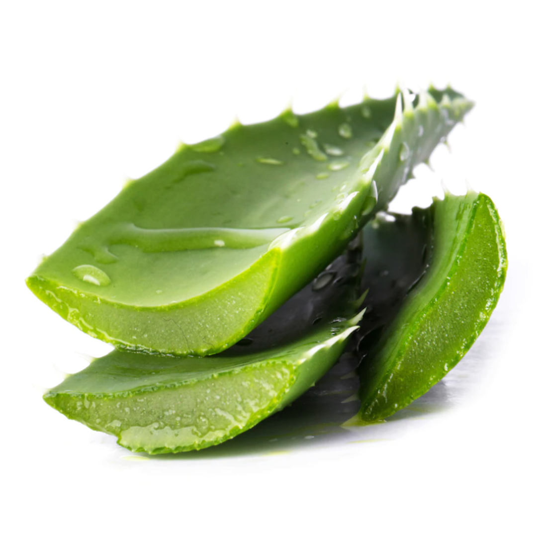 Harvey Ross - Aloe Vera Lip Balm